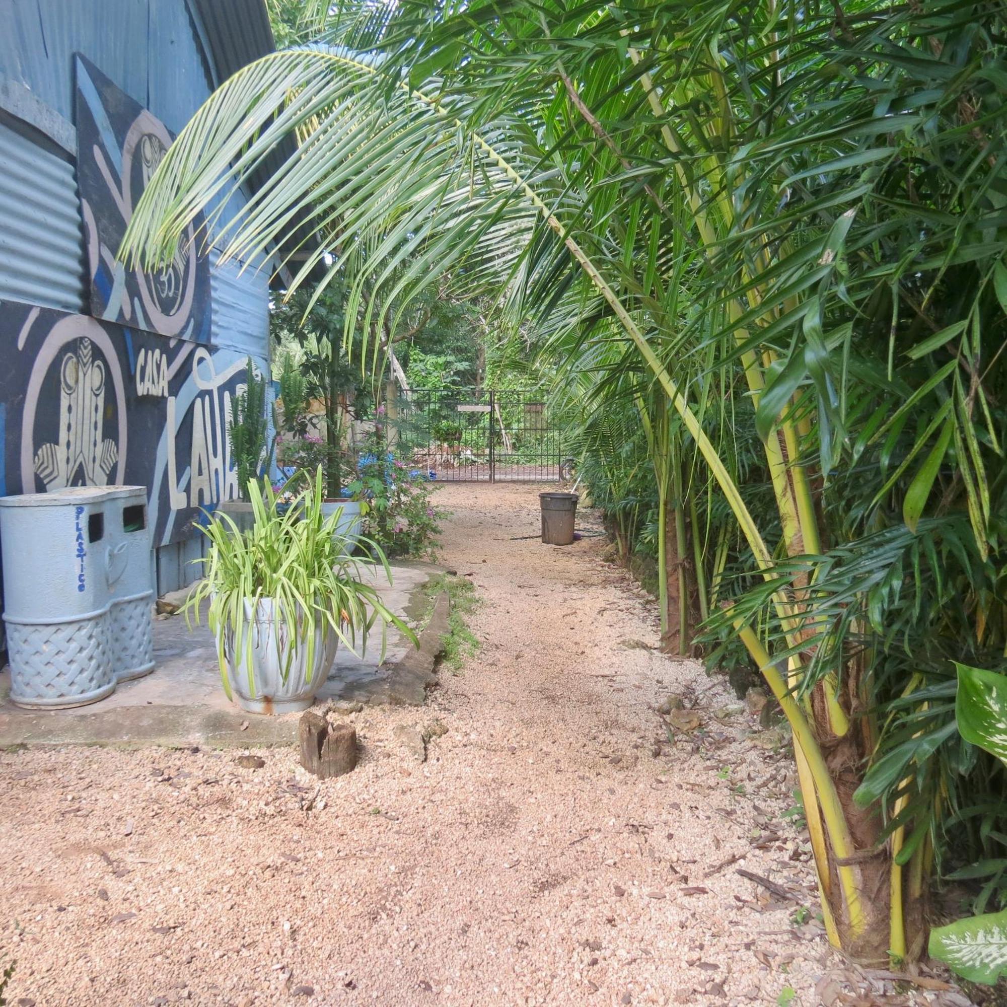 Hostalito Lahar Bacalar Exterior photo